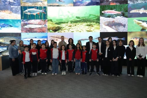 Youth learn about the activities of the Committee on Ecology