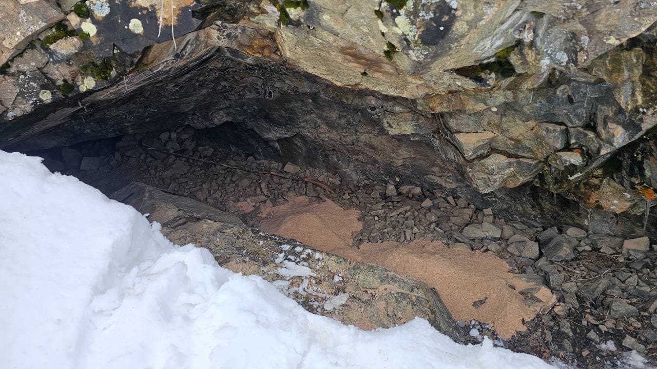 В Угам-Чаткальском парке и Чаткальском заповеднике создаются благоприятные условия для обитания животных