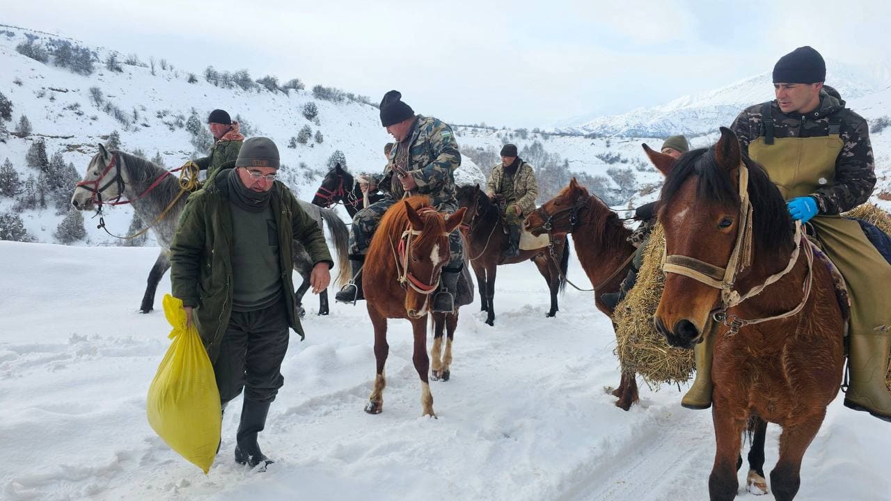 В Угам-Чаткальском парке и Чаткальском заповеднике создаются благоприятные условия для обитания животных