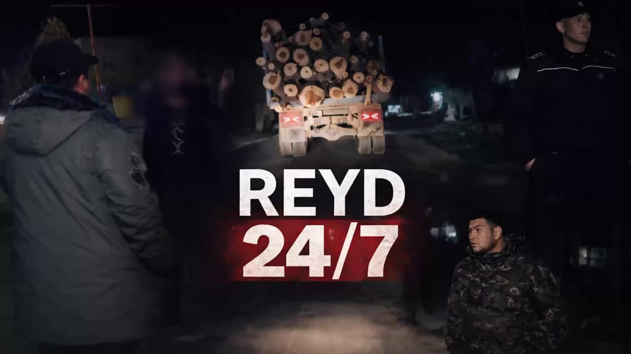 Приняты меры в отношении нарушителя, незаконно срубившего деревья в Сурхандарьинской области