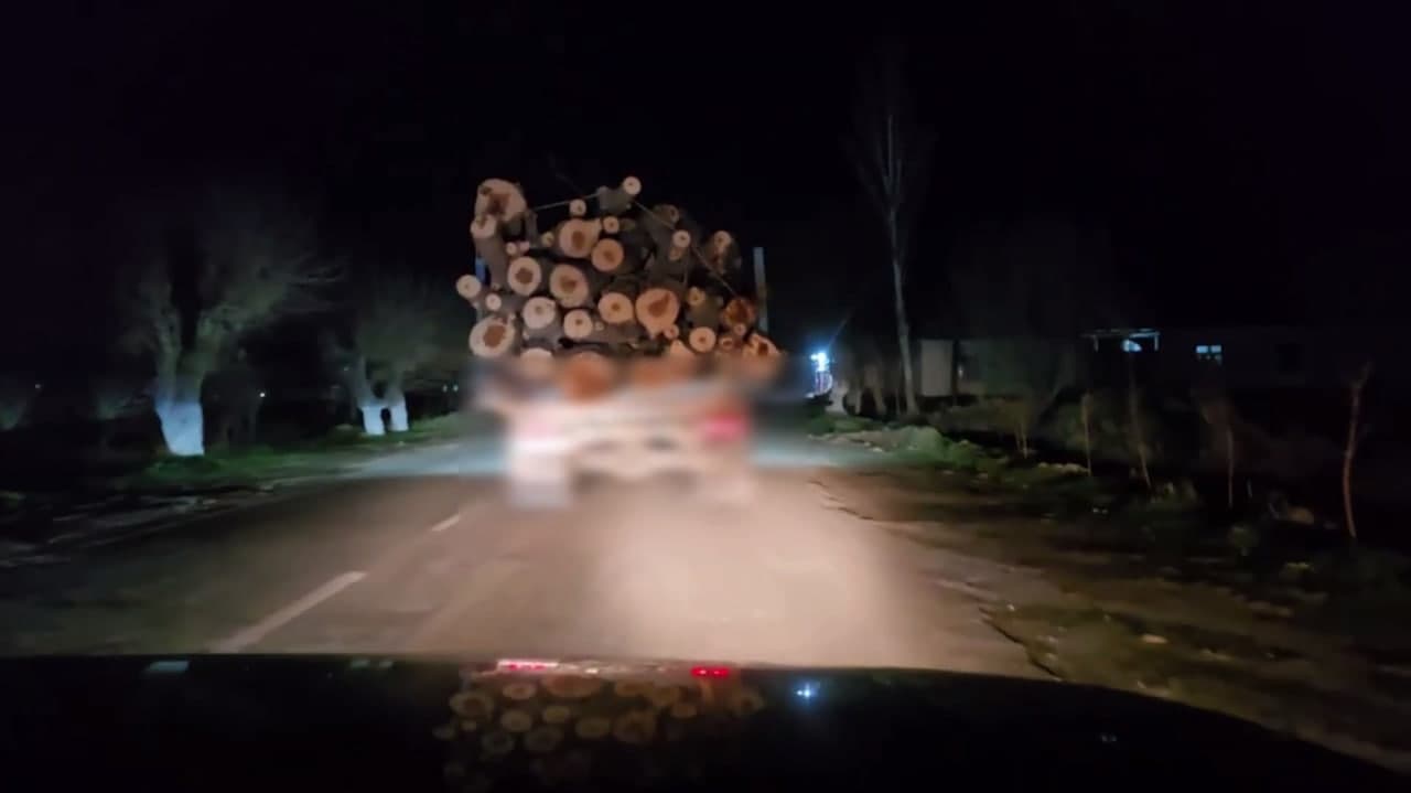 Приняты меры в отношении нарушителя, незаконно срубившего деревья в Сурхандарьинской области