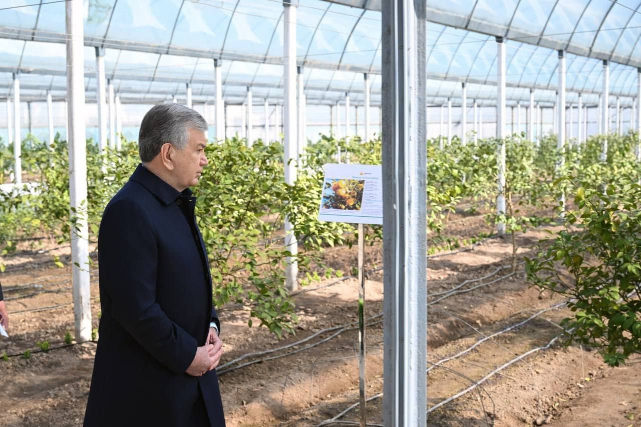 Prezident Surxondaryoga tashrifida aholiga qulay ekologik muhit yaratishga alohida e’tibor qaratdi