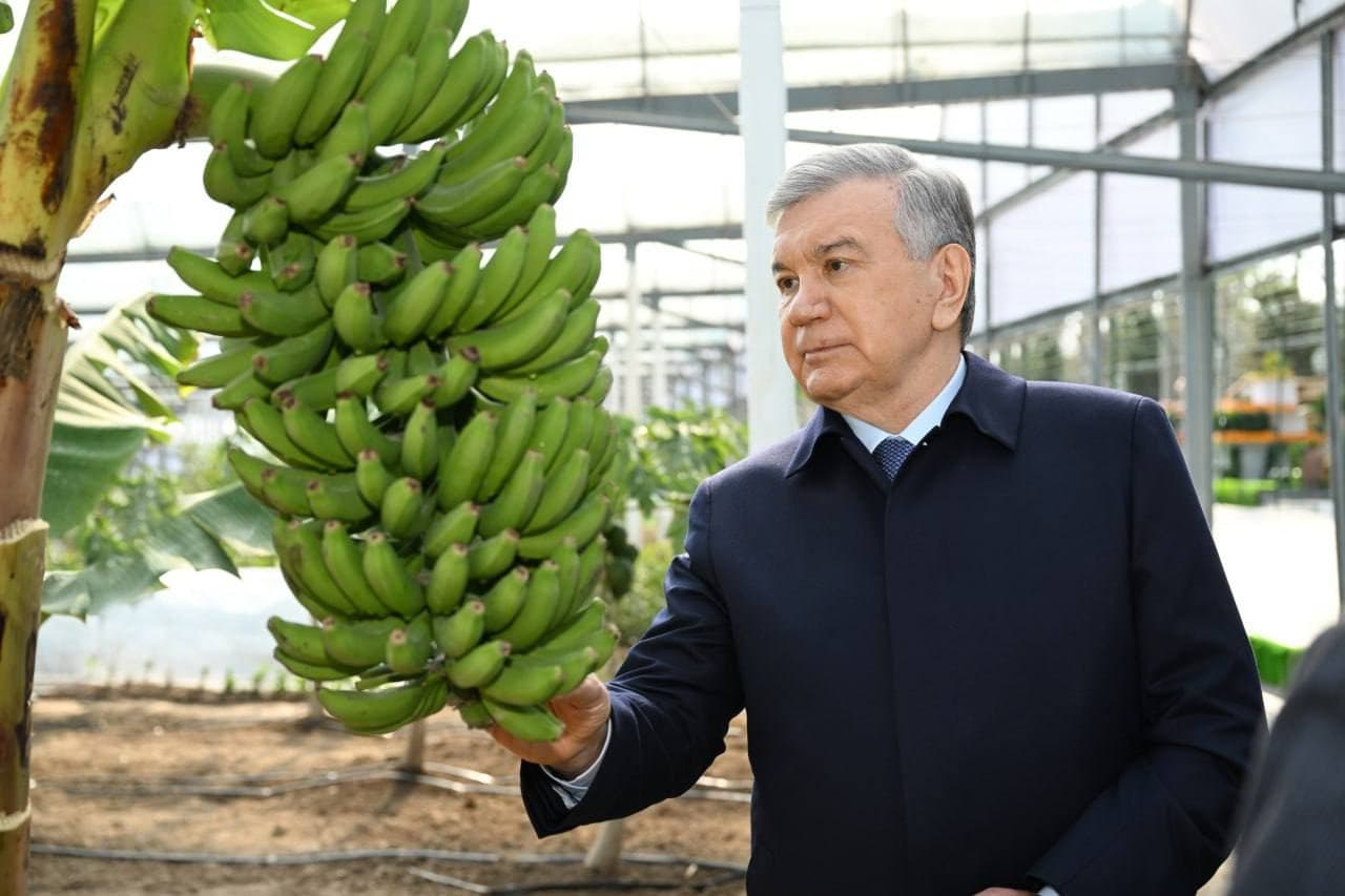 Prezident Surxondaryoga tashrifida aholiga qulay ekologik muhit yaratishga alohida e’tibor qaratdi