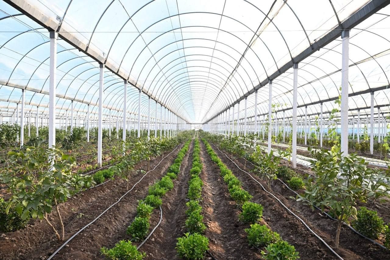 Prezident Surxondaryoga tashrifida aholiga qulay ekologik muhit yaratishga alohida e’tibor qaratdi