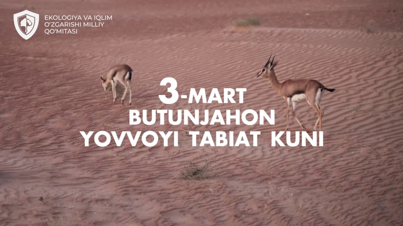 A campaign to support wildlife conservation will be launched