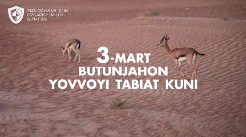 Yovvoyi tabiatni asrashga qaratilgan aksiya o‘tkaziladi