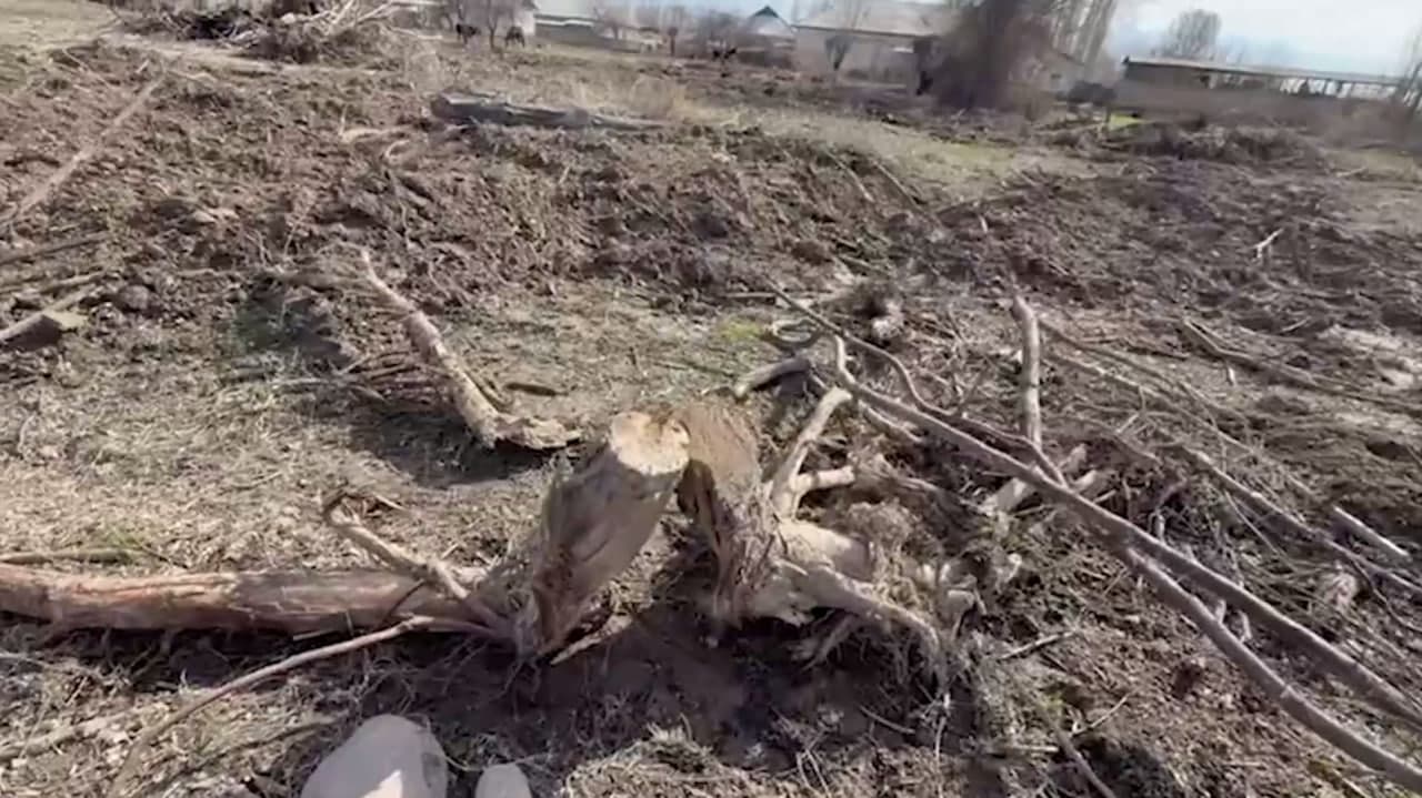 В Ахангаранском районе природе нанесён ущерб почти на 1,5 млрд сумов