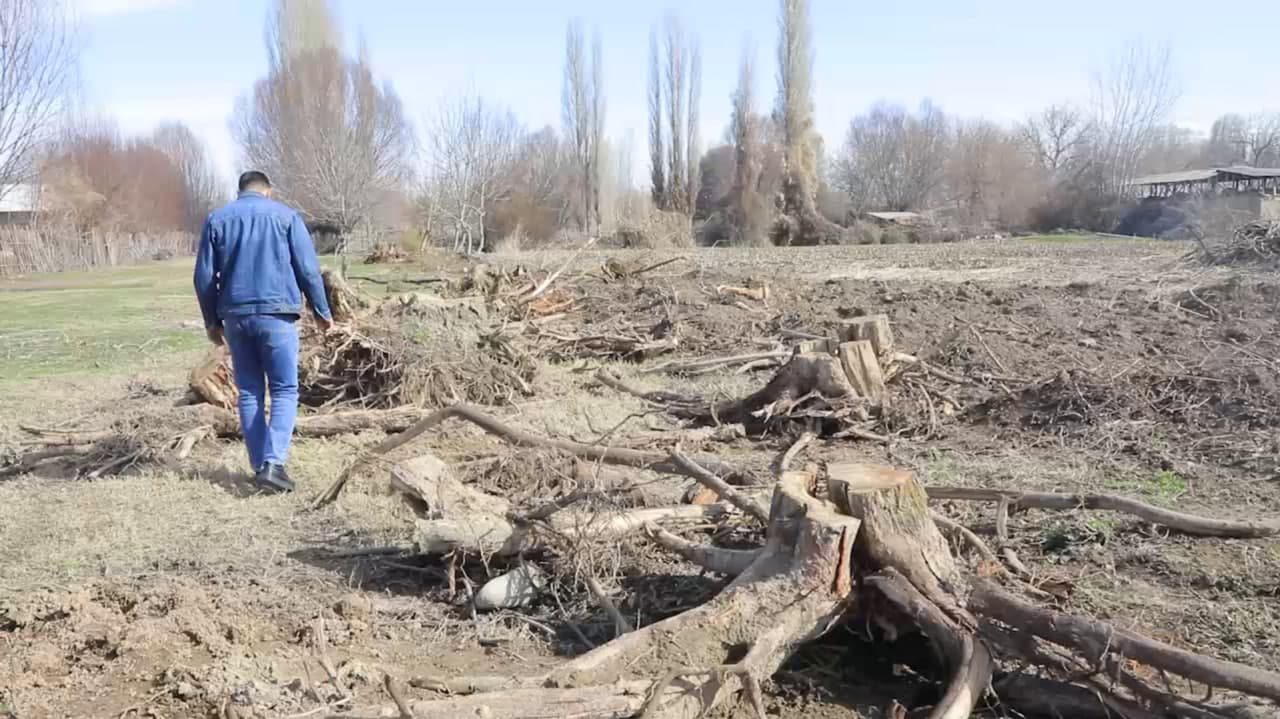 В Ахангаранском районе природе нанесён ущерб почти на 1,5 млрд сумов