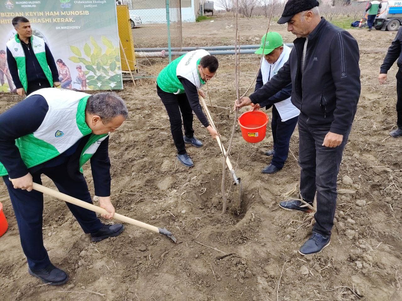 “Yashil makon” loyihasi davom etmoqda
