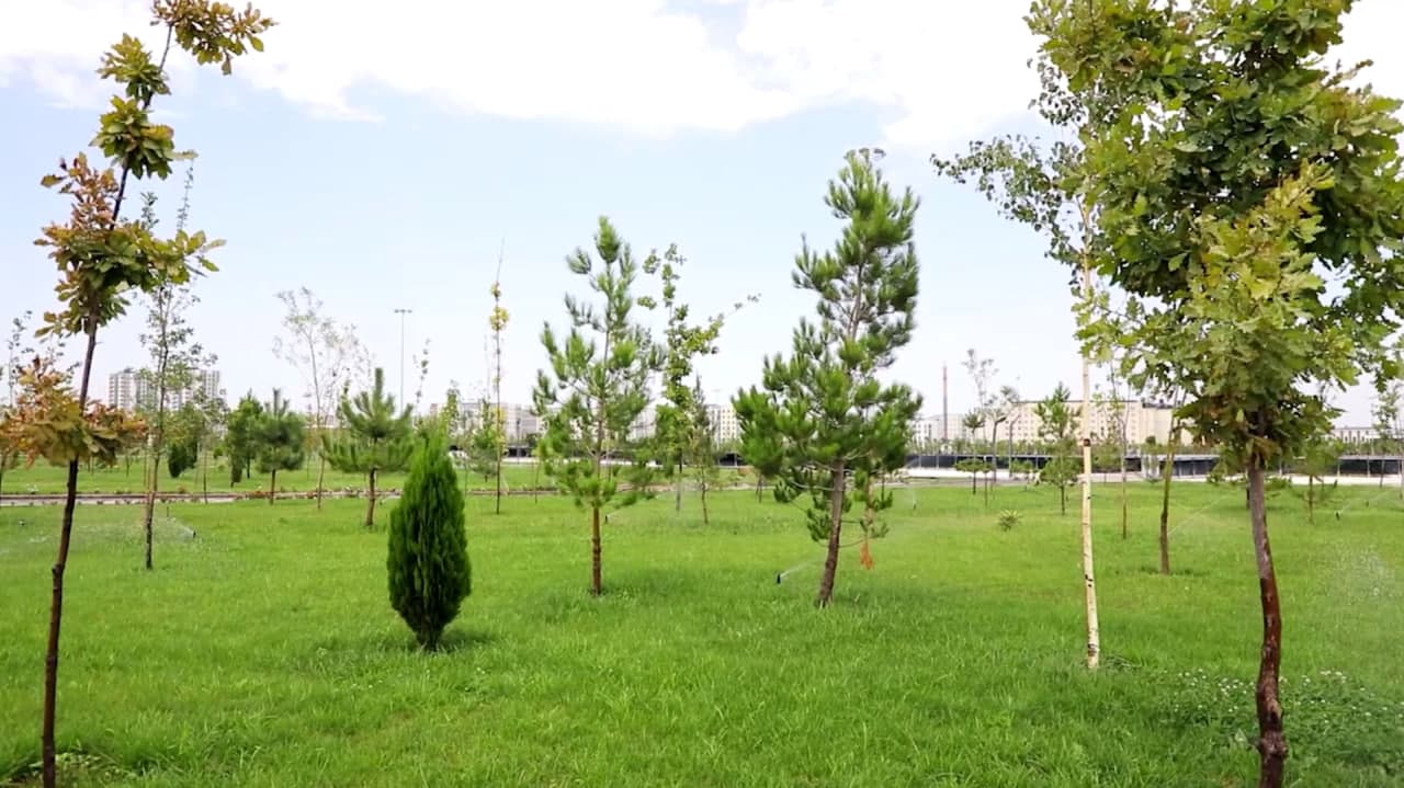 O‘zbekiston bo‘ylab obodonlashtirish va ko‘kalamzorlashtirish tadbirlari o‘tkaziladi