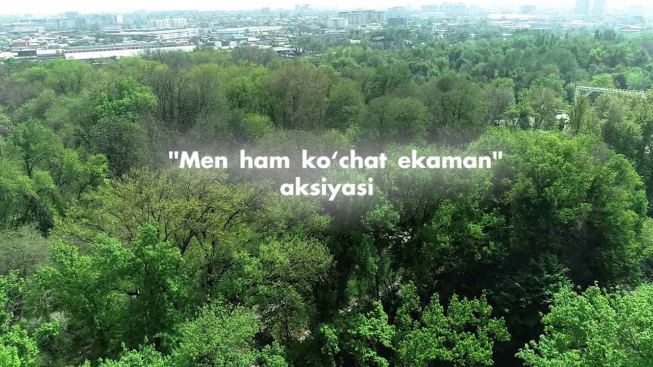 O‘zbekiston bo‘ylab obodonlashtirish va ko‘kalamzorlashtirish tadbirlari o‘tkaziladi