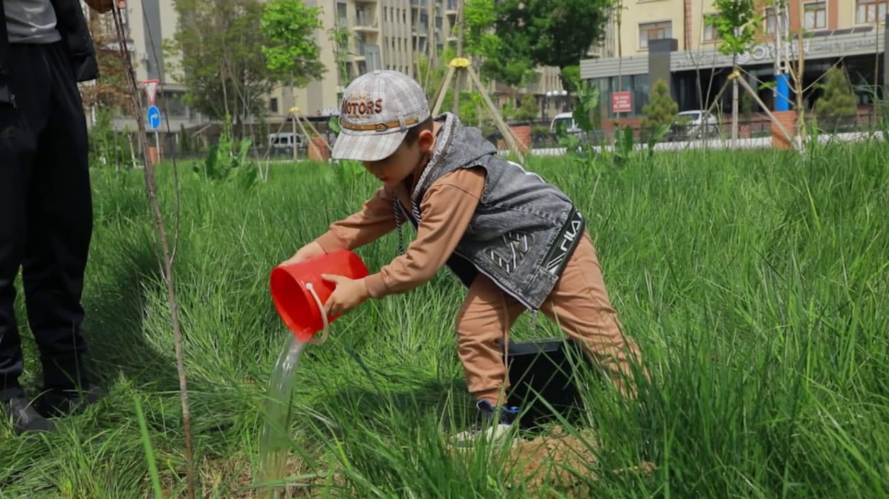 O‘zbekiston bo‘ylab obodonlashtirish va ko‘kalamzorlashtirish tadbirlari o‘tkaziladi