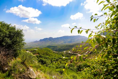 Yurtimizdagi muhofaza etiladigan tabiiy hududlar milliy tabiiy meros obyektlari ro‘yxatiga kiritiladi