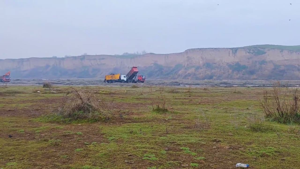 В Самарканде ущерб, нанесённый природе, оценивается более чем в 37 млн сумов
