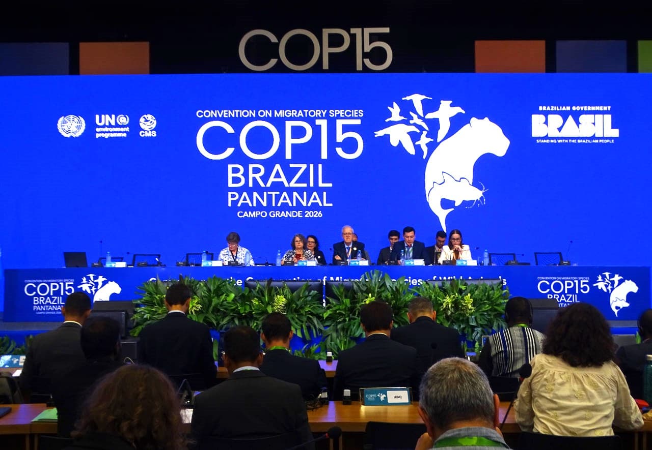 Узбекистану присвоен почетный статус за вклад в сохранение мигрирующих видов