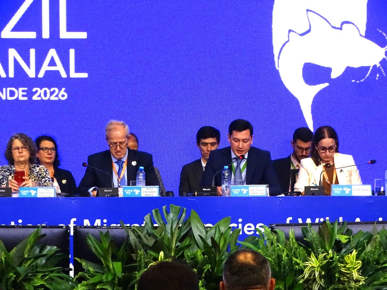 Узбекистану присвоен почетный статус за вклад в сохранение мигрирующих видов