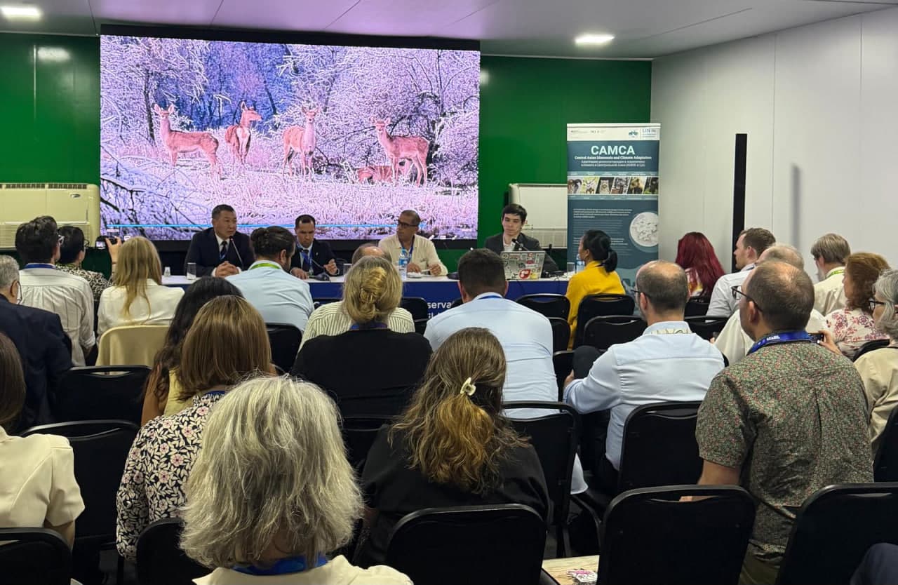 Узбекистан представил инициативу по сохранению млекопитающих Центральной Азии на CMS COP15