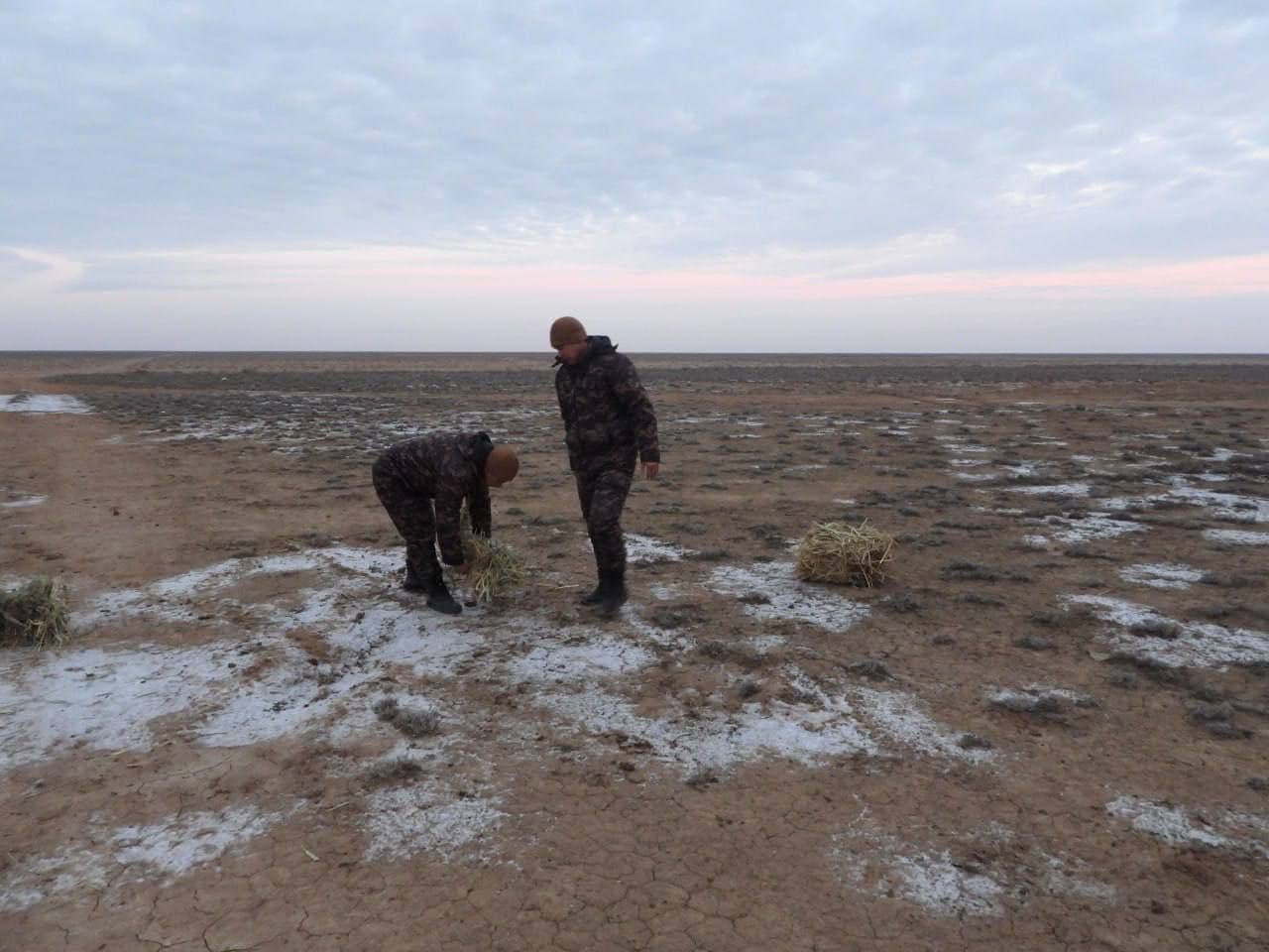 На охраняемых природных территориях продолжаются биотехнические мероприятия