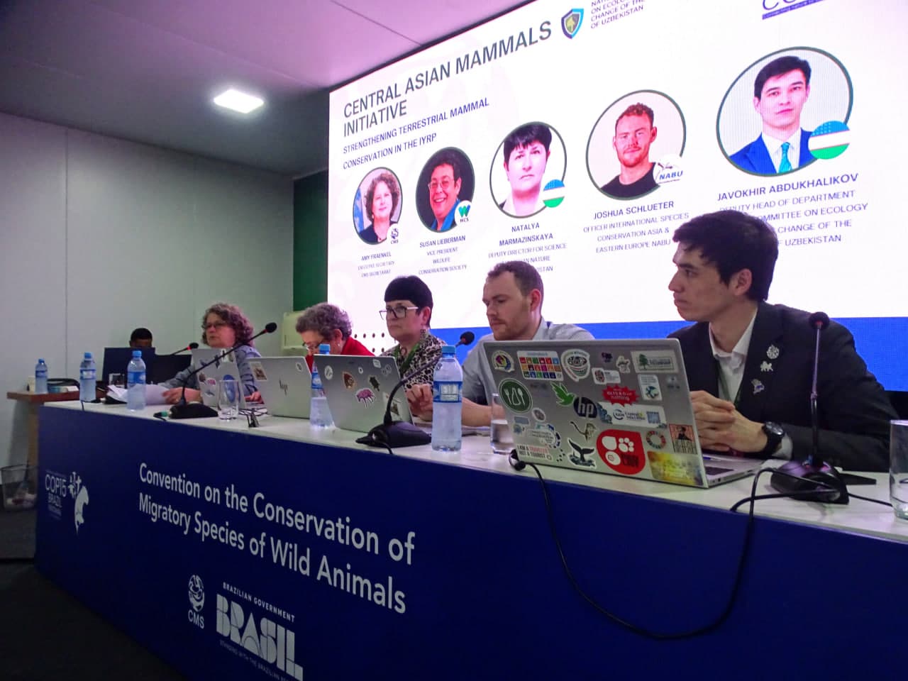 Узбекистан представил инициативу по сохранению млекопитающих Центральной Азии на CMS COP15