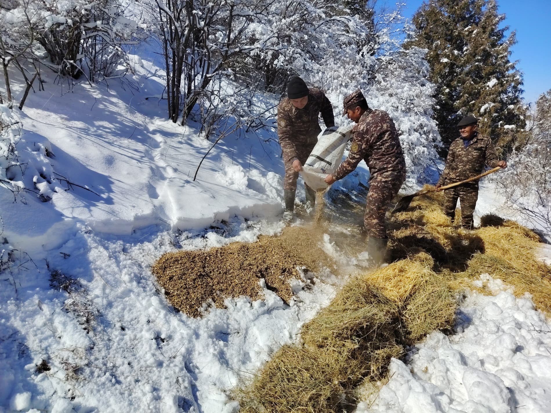 На охраняемых природных территориях продолжаются биотехнические мероприятия