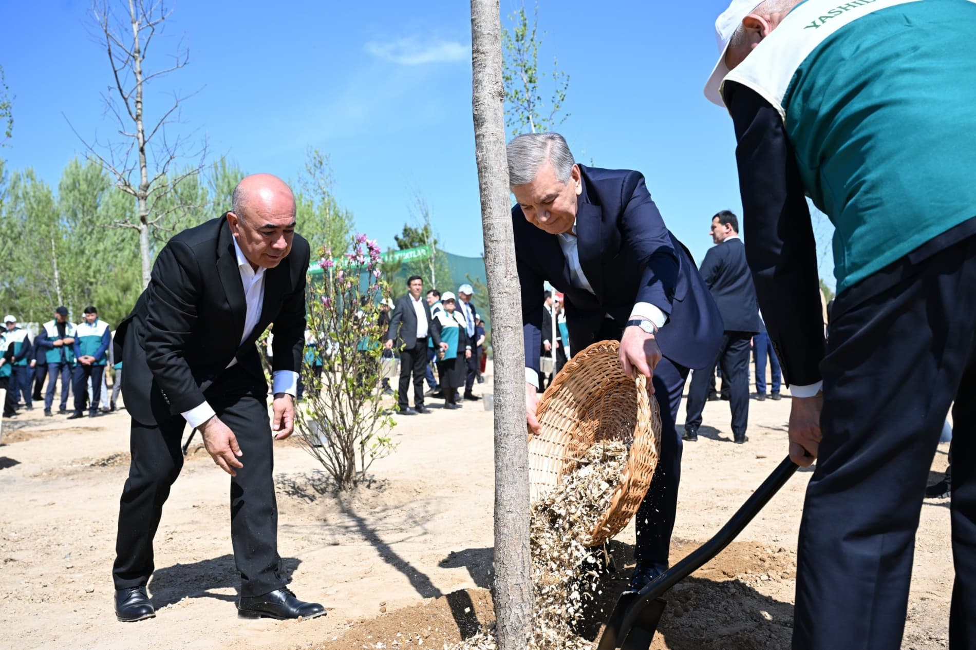 Prezident Milliy dendrologiya bog‘ini barpo etishga start berdi