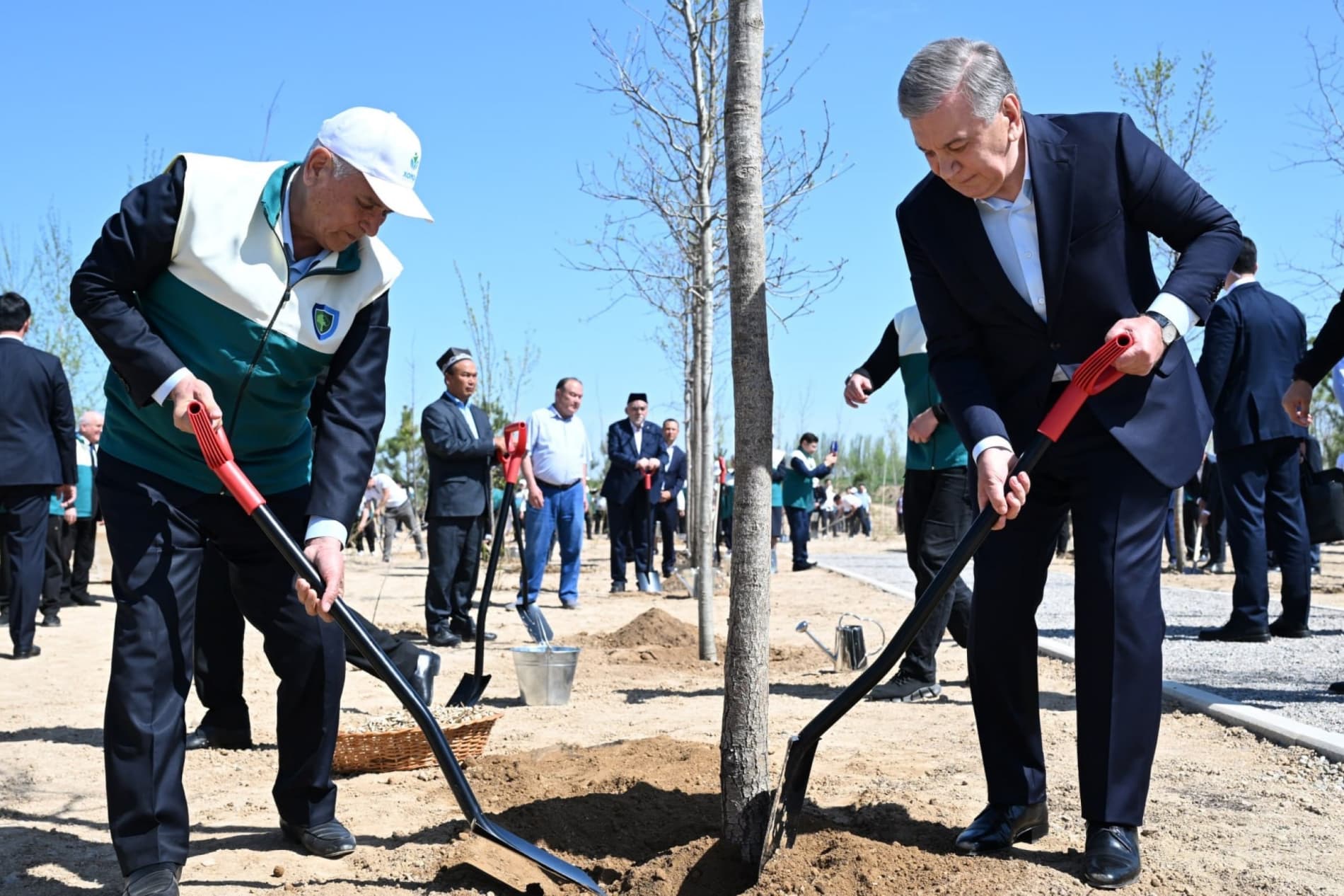 Prezident Milliy dendrologiya bog‘ini barpo etishga start berdi