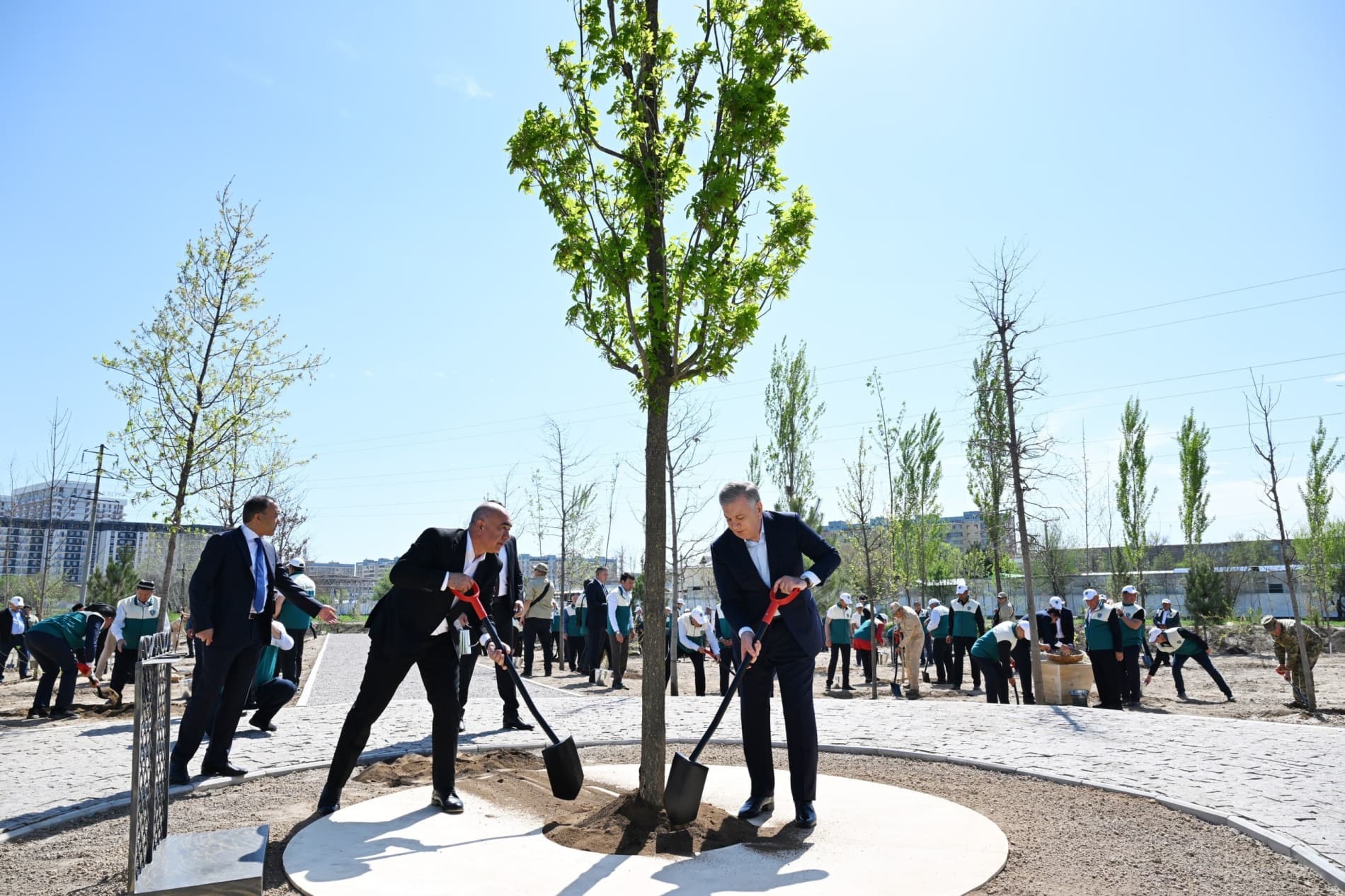 Prezident Milliy dendrologiya bog‘ini barpo etishga start berdi