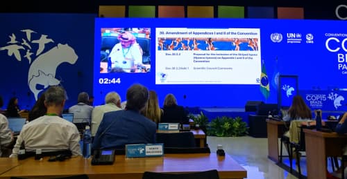 O‘zbekistonning yo‘l-yo‘l sirtlonni saqlab qolishga qaratilgan tashabbuslari CMS COP15’da qo‘llab-quvvatlandi