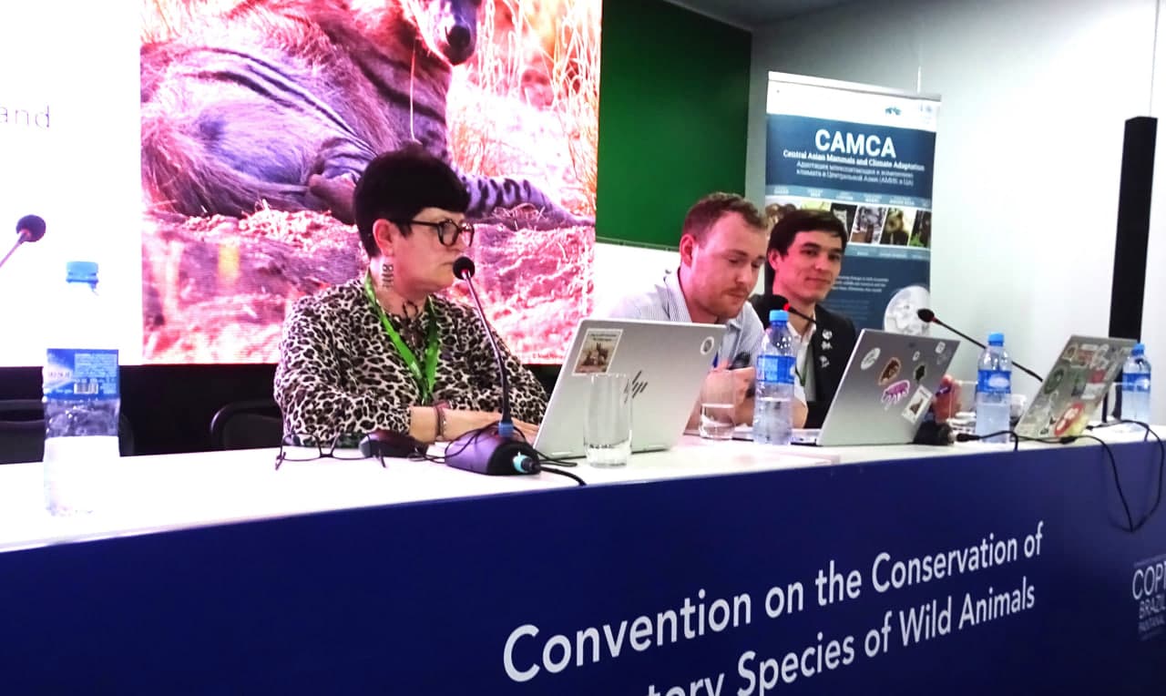 Инициативы Узбекистана по сохранению полосатой гиены поддержаны на COP15 CMS