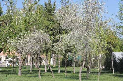 “Mening bog‘im” loyihasining bu yilgi mavsumi boshlandi