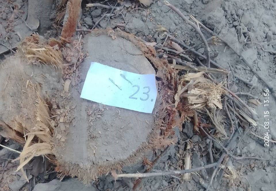 В Бухарской области предпринимателю, причинившему значительный ущерб природе, назначено наказание