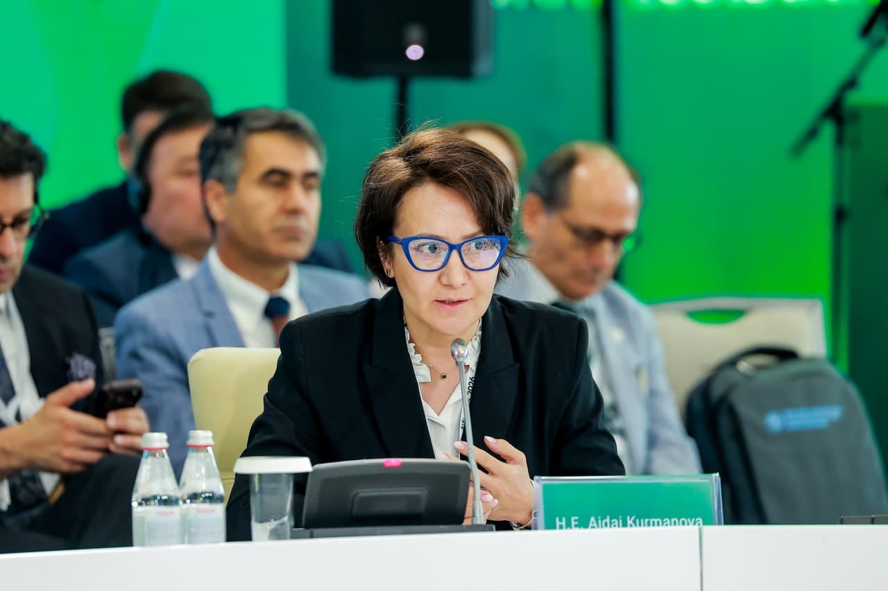 Запущена Платформа высокого уровня ОЭС по экологическому сотрудничеству