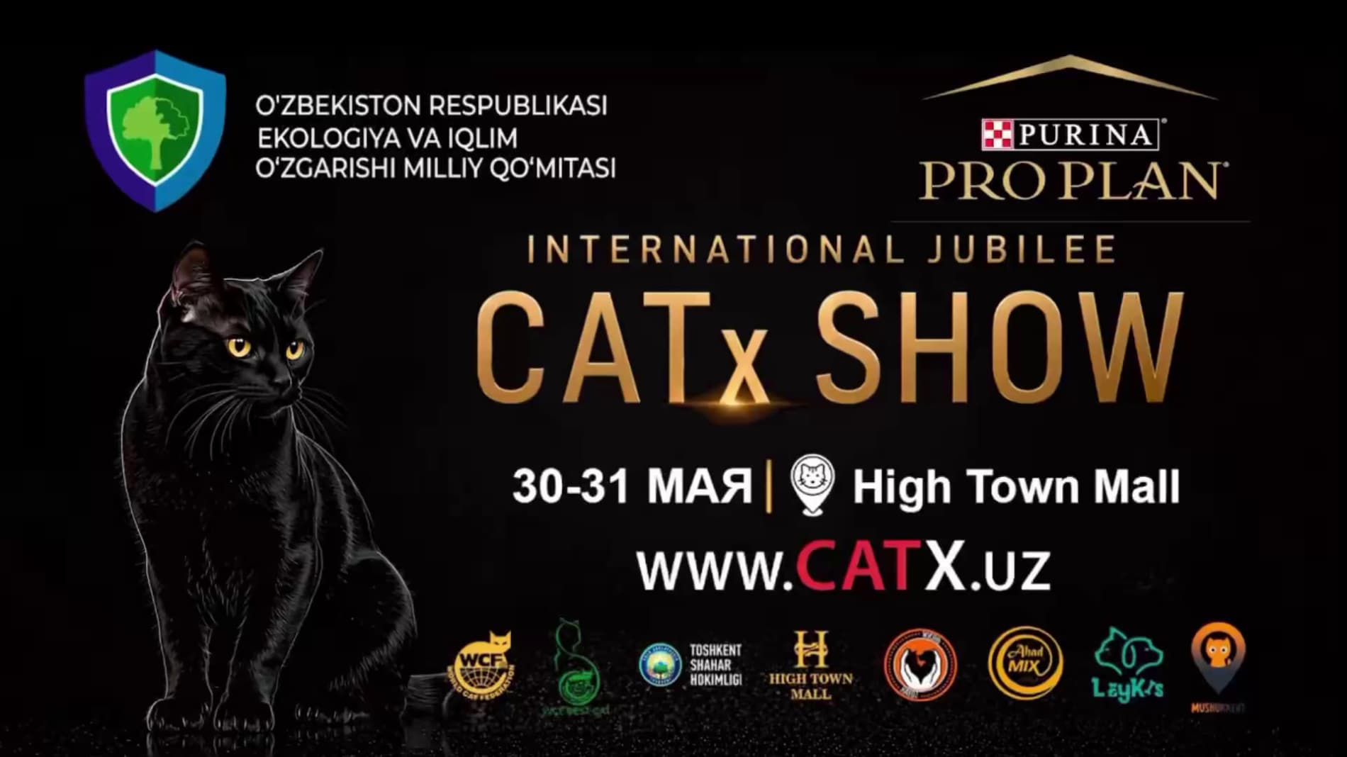 В Ташкенте пройдет международная выставка кошек Cat X Show 2026