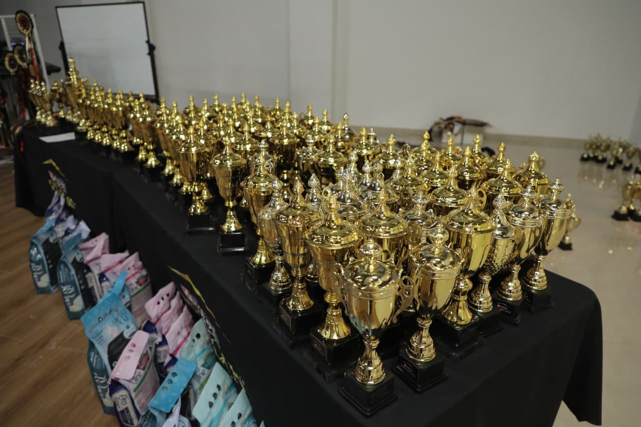В Ташкенте проходит международная выставка кошек «Cat X Show 2026»