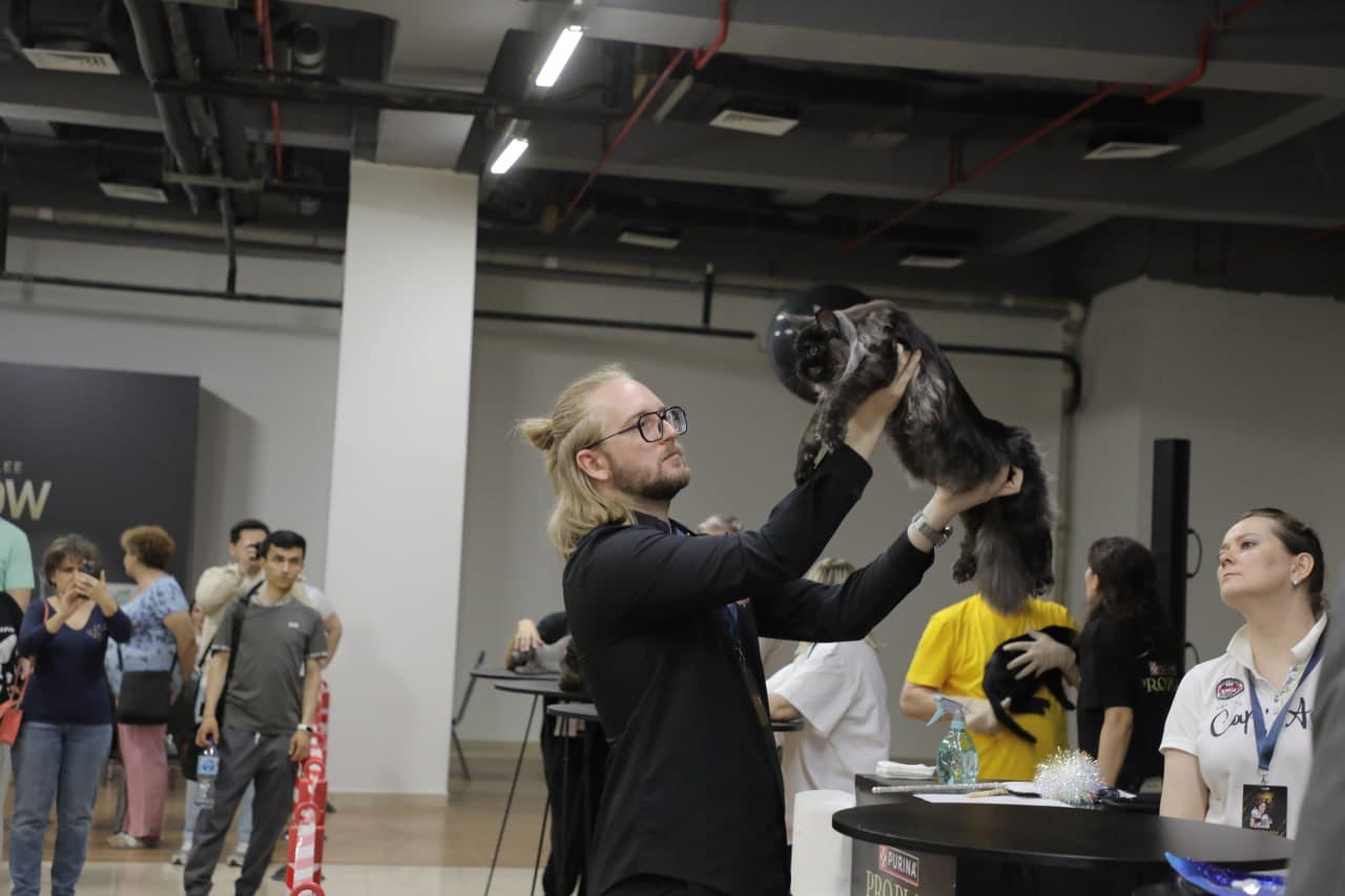 В Ташкенте проходит международная выставка кошек «Cat X Show 2026»