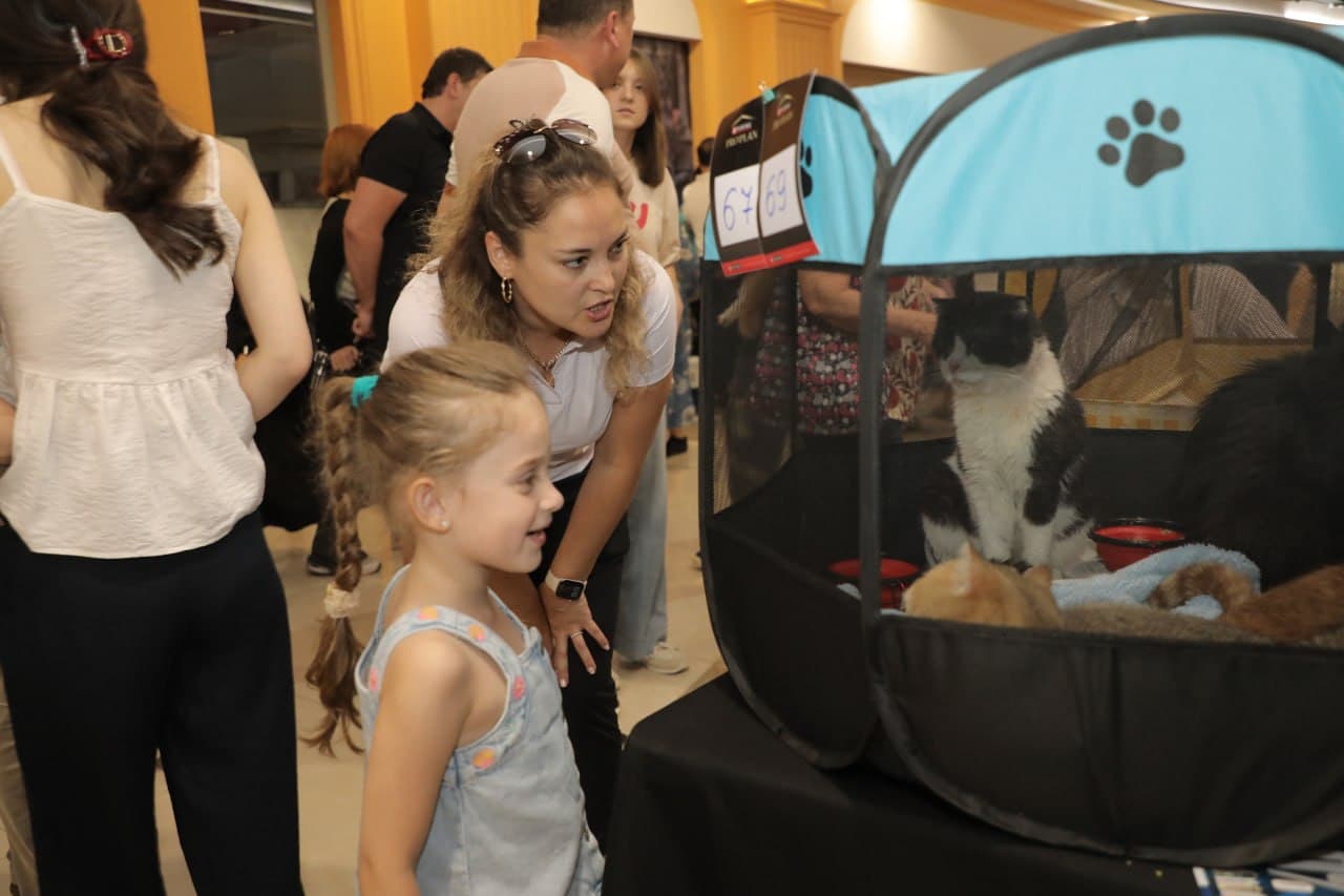 В Ташкенте проходит международная выставка кошек «Cat X Show 2026»