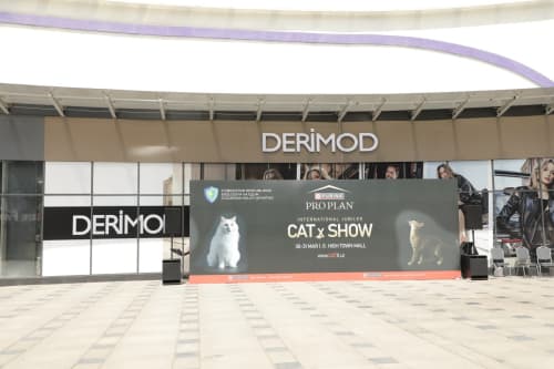 В Ташкенте проходит международная выставка кошек «Cat X Show 2026»