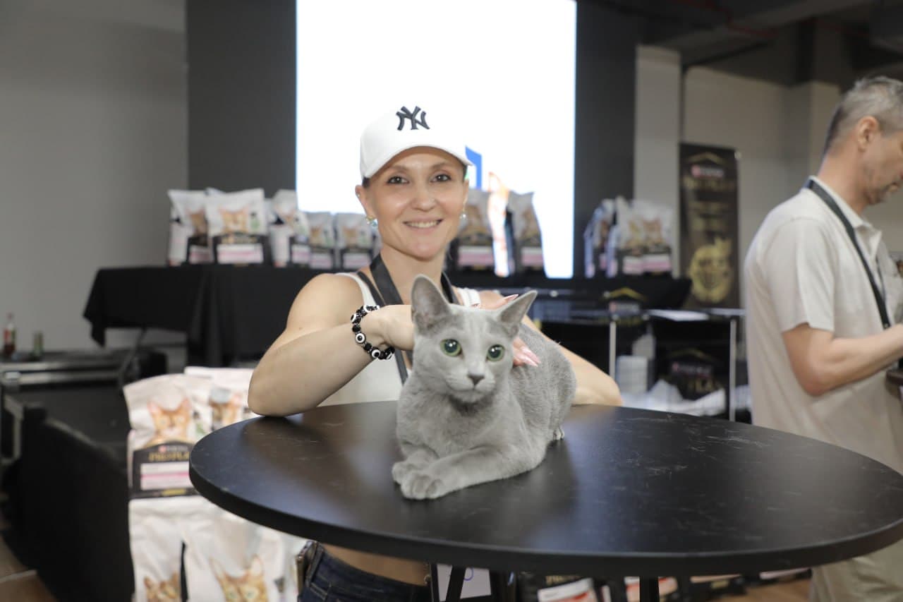 В Ташкенте проходит международная выставка кошек «Cat X Show 2026»