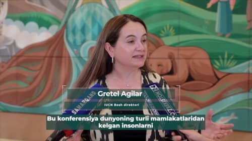 #ekspertfikri