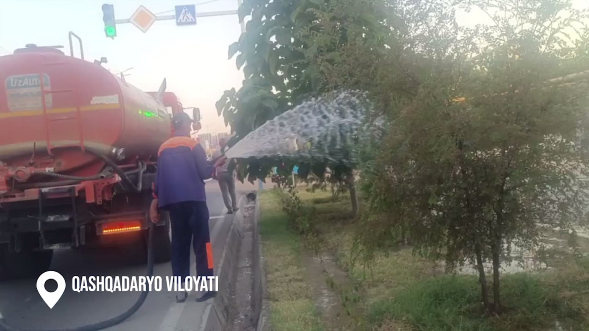 Во всех регионах Узбекистана усилены меры по сохранению зелёных насаждений