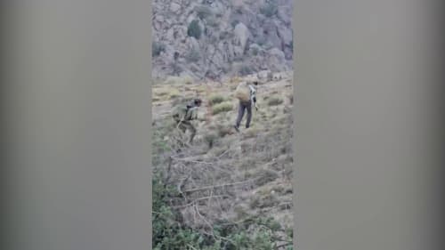 Criminal Case Opened Over Poaching in Surkhandarya Region