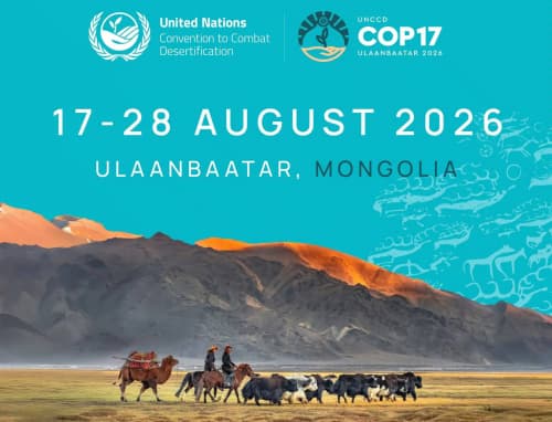 Узбекистан представит национальные экологические инициативы на COP17 UNCCD