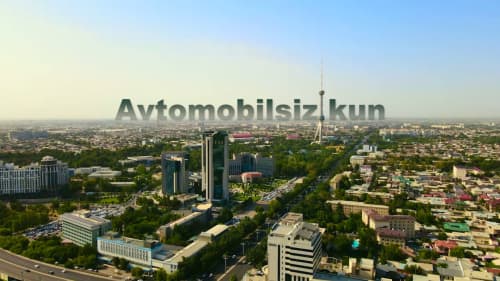 «День без автомобиля»: сотрудники Комитета выбирают общественный транспорт