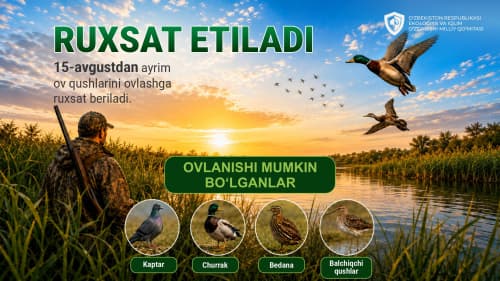 15-avgustdan ayrim qushlarini ovlashga ruxsat berildi