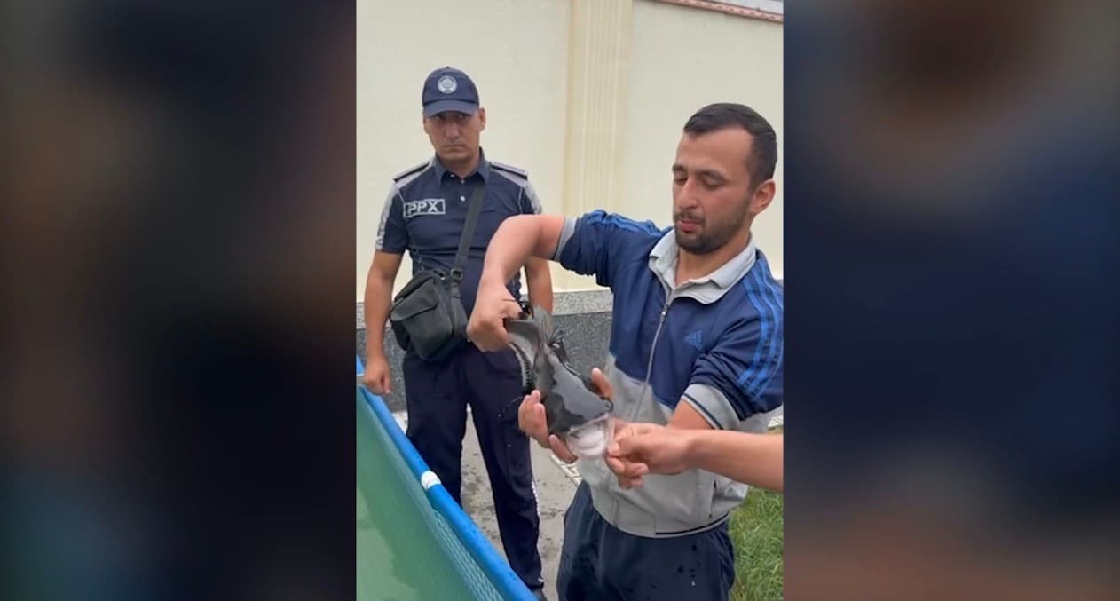 Farg‘onadagi ko‘p qavatli uylardan birida rostdan ham akula boqilganmidi?