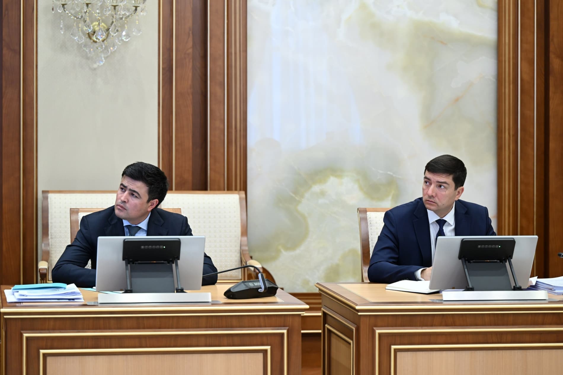 В «Яшил макон» основное внимание будет уделено сохранению и уходу за деревьями