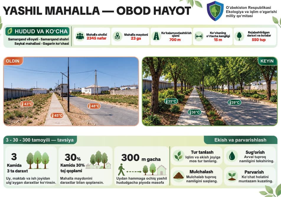 "Yashil makon": mahallalarda soyali sayr ko‘chalari tashkil etilmoqda
