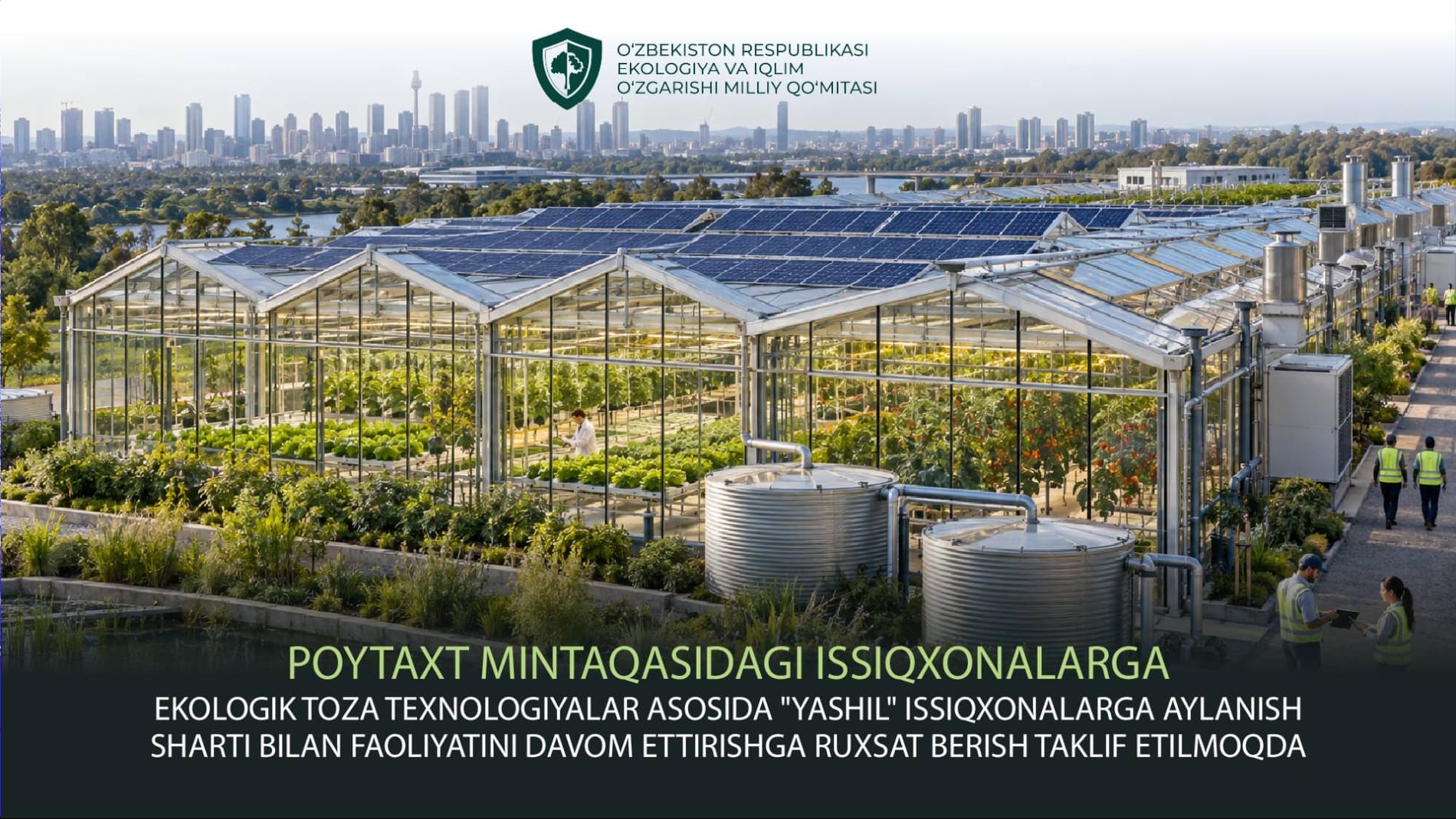 Тепличные хозяйства, расположенные в столичном регионе, предлагают разрешить им остаться при условии их трансформации в «зелёные теплицы» на основе экологически чистых технологий