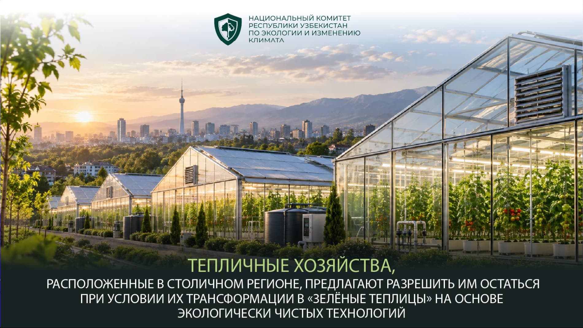Тепличные хозяйства, расположенные в столичном регионе, предлагают разрешить им остаться при условии их трансформации в «зелёные теплицы» на основе экологически чистых технологий