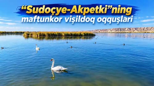 "Sudoçye-Akpetki"ning maftunkor vişildoq oqquşlari
